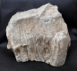 Preview: Versteinertes Holz Indonesien